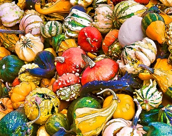 Vegetable Print, Gourds, Pumpkins, Kitchen Art, Gift for Vegetarian, Veggies, Food Print, Restaurant Decor, Food Photography, Kitchen Decor