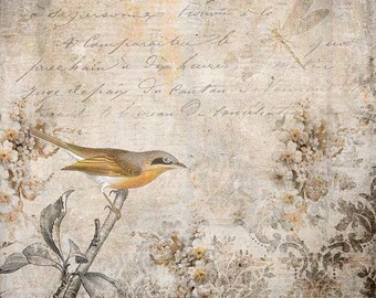 Collage Art, Bird Collage Print, Shabby Chic Art Print, Botanical Art, Small Bird Print, French Wall Art, Victorian Art, Botanical Print