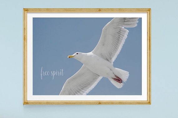 Inspiration Art Imprime Oiseaux Mouette Source Etsy