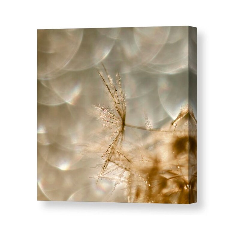 Large Wall Art Dandelion Wall Art Dandelion Canvas Bokeh Etsy
