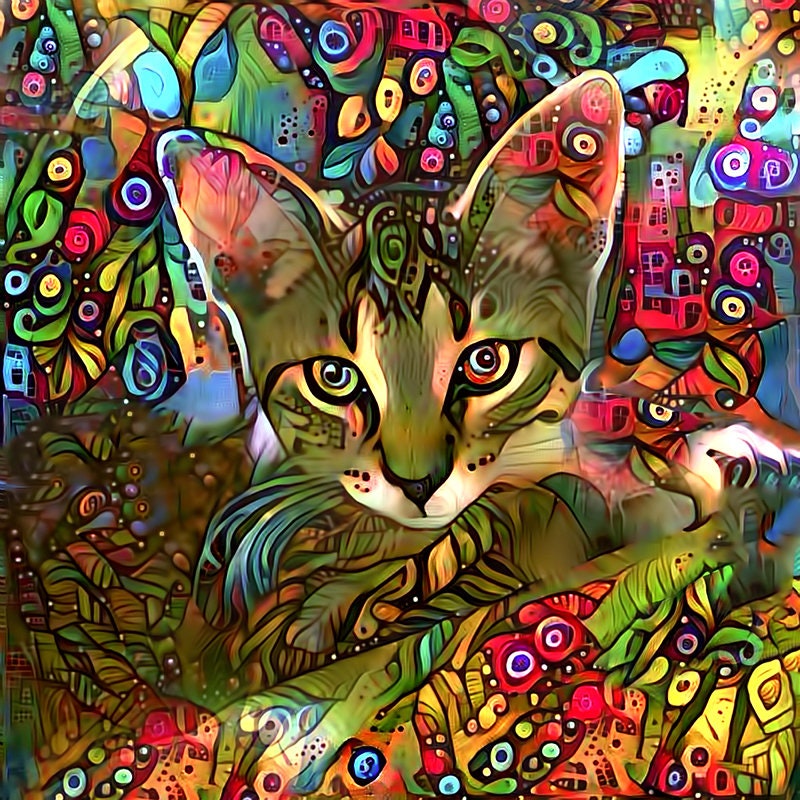 Abstract Cat Art Kitten Print Tabby Cat Art Colorful Cat | Etsy