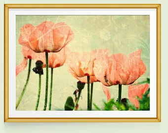 Poppy Print, Poppy Wall Art, Poppy Decor, Poppies Art, Fine Art Prints, Fine Art Photography, Pink and Green Decor, Pink and Green Art