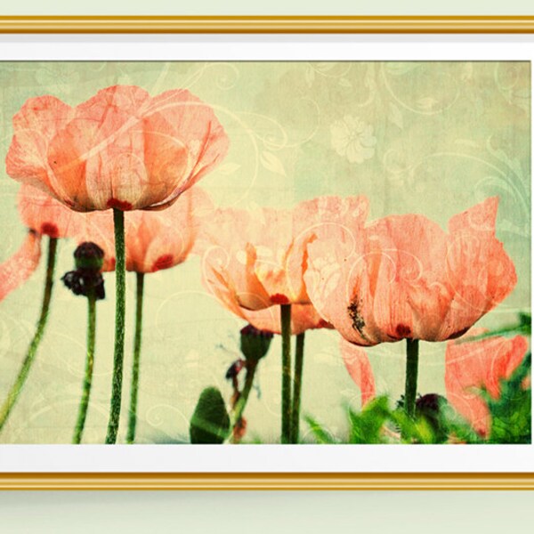 Poppy Print, Poppy Wall Art, Poppy Decor, Poppies Art, Fine Art Prints, Fine Art Photography, Pink and Green Decor, Pink and Green Art