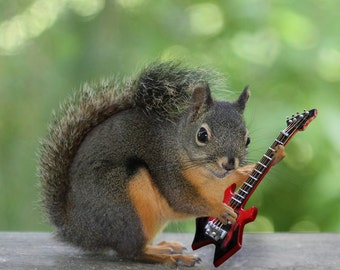 Gifts for Musicians, Funny Prints, Squirrel Print,Music Gifts,Guitarists,Rock and Roll,Music Art,Squirrel Photograph,Electric Guitar,Warlock