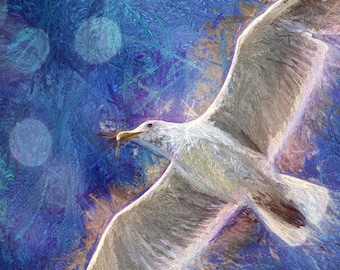 Vogel-Print, Natur-Kunst, Seagull Print, blaue und weiße Kunst, große Wandkunst, Wand Kunstdrucke, Möwe Drucke, fliegen Vogel, Vogel-Dekor