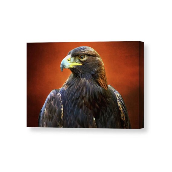 Bird Canvas Golden Eagle Eagle Wall Art Brown Wall Art Canvas Wall Art Raptor Art Wildlife Art Eagle Art Nature Decor Bird Decor