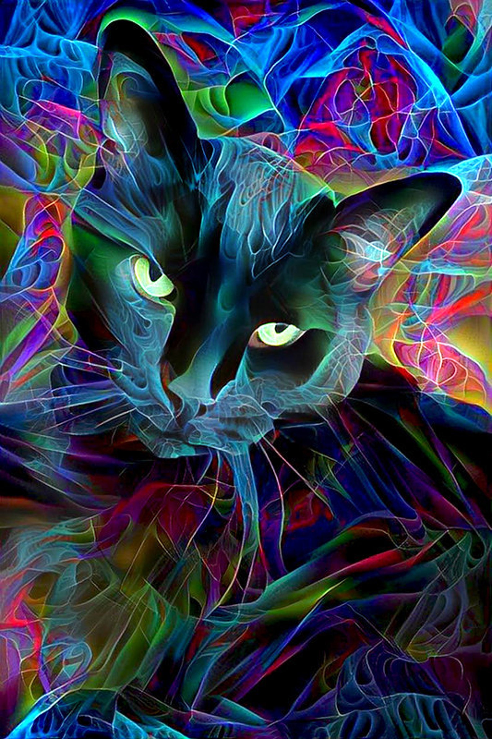 Black Cat Art Psychedelic Art Fractal Art Psychedelic Cat Etsy
