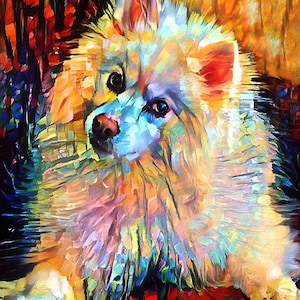 Eskimo Dog Art, Eskie Dog Print, American Eskimo Dog, White Dog Art, Dog Lover Gift, Pet Portrait, Dog Print, Dog Portrait image 1