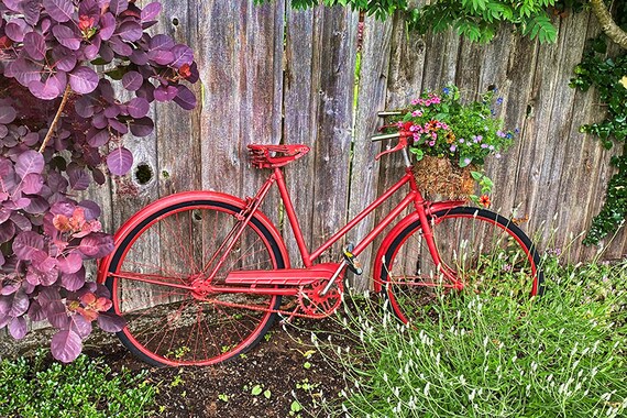 Red Bicycle Art Bike Print Bicycle Wall Art Bicycle and Flowers Old Bicycle Red Bike Old Bikes Bike Gifts Etsy UK