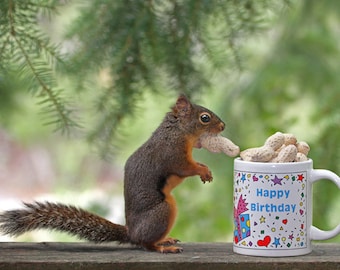 Birthday Print, Funny Birthday, Happy Birthday, Squirrel Art, Birthday Gift, Funny Art, Squirrel Photograph,Birthday Present, Funny Animals