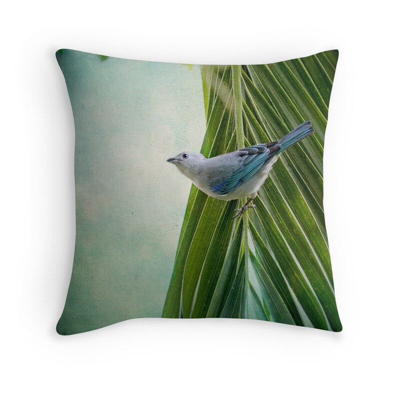 Bird Decor Nature Decor Blue Bird Bird Cushion Costa Rica Etsy