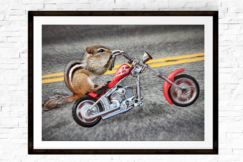 Lustige Motorrad Bilder Zum Posten