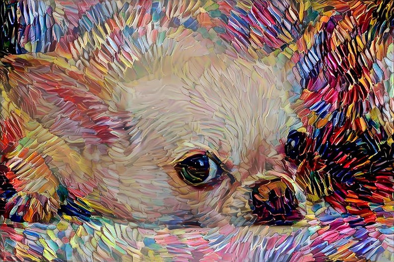 Chihuahua Art, Chihuahua Gift, Colorful Dog Art, Dog Print, Dog Portrait, Colorful Dog, Dog Owner Gift Abstract Dog Art image 1