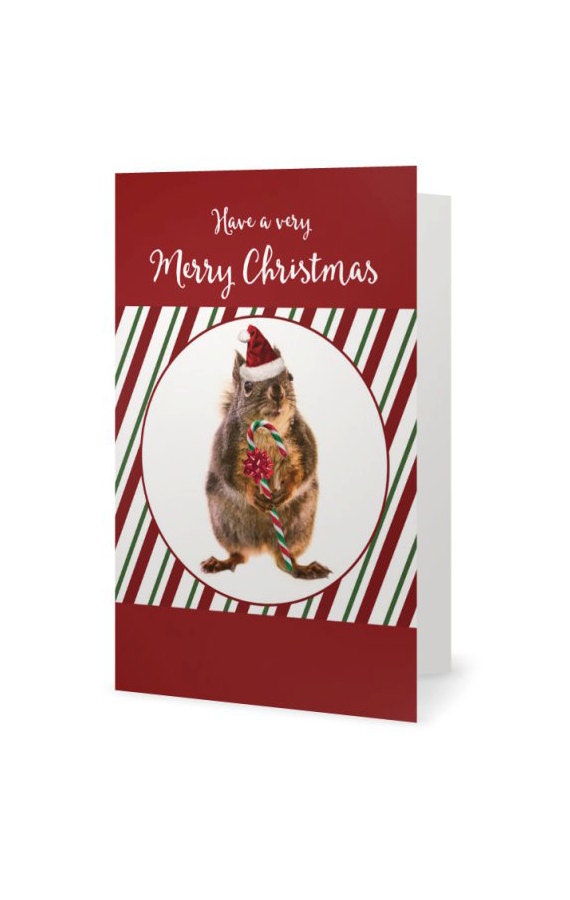 squirrel card xmas card candy cane christmas animal etsy candy cane christmas cards