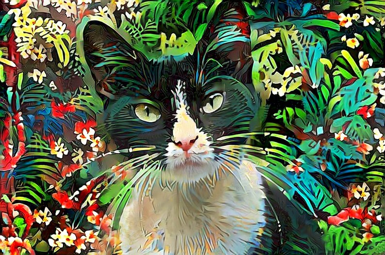 Cat and Flowers Cat Print Tuxedo Cat Art Colorful Wall Art Cat Lover Gift Tuxedo Cat Gift Black and White Cat