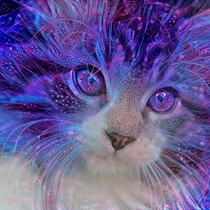 Purple Cat Art, Maine Coon Cat, Colorful Cat Art, Crazy Cat Lady, Purple Print, Girls Room Art, Psychedelic Cat image 1