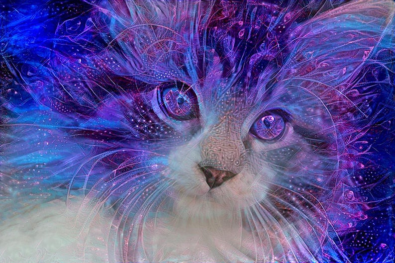 Purple Cat Art, Maine Coon Cat, Colorful Cat Art, Crazy Cat Lady, Purple Print, Girls Room Art, Psychedelic Cat image 1