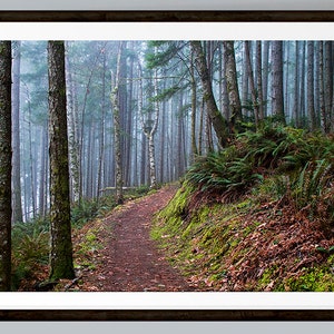 Landscape Photography, Forest Print, Woodland Print, Fog, Misty, Forest Decor, Nature Decor, Nature Photograph, British Columbia,Large Print