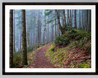 Fotografía del paisaje, impresión del bosque, impresión del bosque, niebla, niebla, decoración del bosque, decoración de la naturaleza, fotografía de la naturaleza, Columbia británica, impresión grande