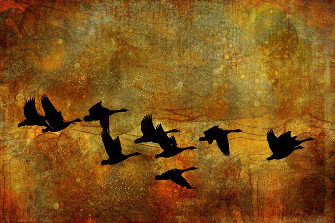 Goose Art, Geese Prints, Goose Wall Art, Flock of Geese, Canada Geese