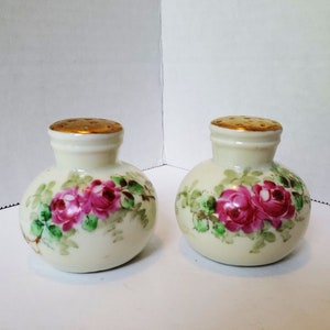 Pretty Floral Salt & Pepper Shakers / Bavaria Germany