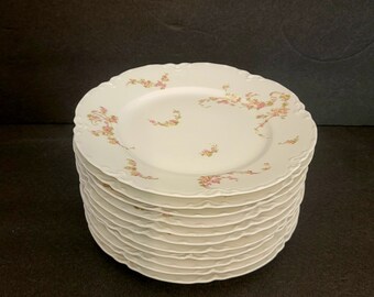 Haviland & Company 