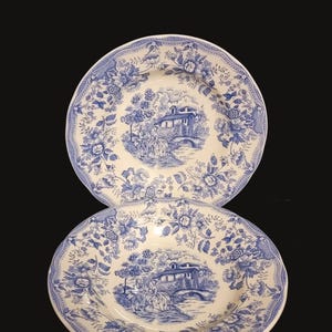 Deux (2) - Couronne de 9 1/2 po. / Nevco / Bols à soupe bleus et blancs / Italie
