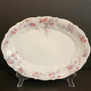 Large Antique Carl Tielsch ( C T ) Porcelain Platter / 1875 - 1909  Altwasser Germany