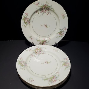 Five (5) - 10-1/8&quot; Theodore Haviland &quot;Apple Blossom&quot; Dinner Plates / New York
