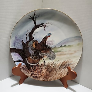 Large Vintage Hutschenreuther / Selb Germany / Hand Painted &quot;Turkey&quot; Plate