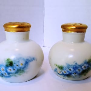 Pretty Floral Salt & Pepper Shakers / Bavaria Germany