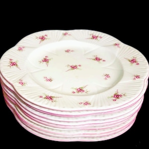 Shelley Dinner Set - Etsy