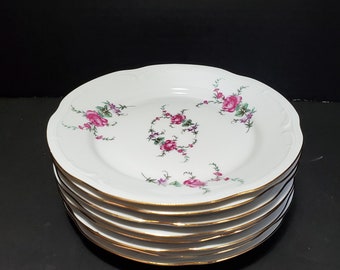 8 Set of Eight Wloclawek Floral Porcelain Rim Soup Bowls  Poland  Roses
