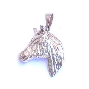 May include: A silver pendant in the shape of a horse's head. The pendant has a textured surface and a loop for a chain. The horse's head is detailed with a mane and facial features. The pendant is likely made of sterling silver.