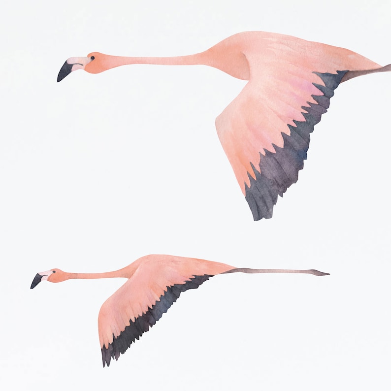 Flying Flamingo Wall Decals, Plastic-Free Jungle kids room wall stickers image 4