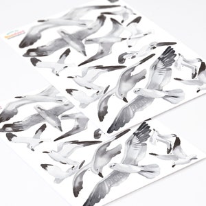 Puede incluir: Dos hojas de papel con ilustraciones de gaviotas en acuarela en blanco y negro en varias poses. Las gaviotas est&aacute;n dispuestas en un patr&oacute;n aleatorio en las hojas.