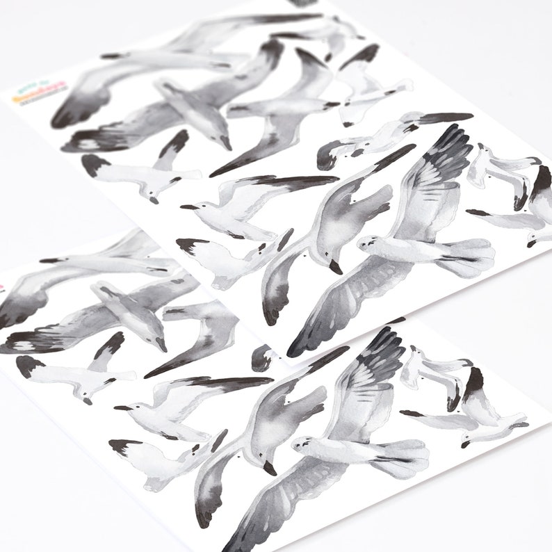 Puede incluir: Dos hojas de papel con ilustraciones de gaviotas en acuarela en blanco y negro en varias poses. Las gaviotas est&aacute;n dispuestas en un patr&oacute;n aleatorio en las hojas.