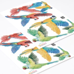 Tropical Parrots Wall Decals, Plastic-Free Jungle kids room wall stickers image 4