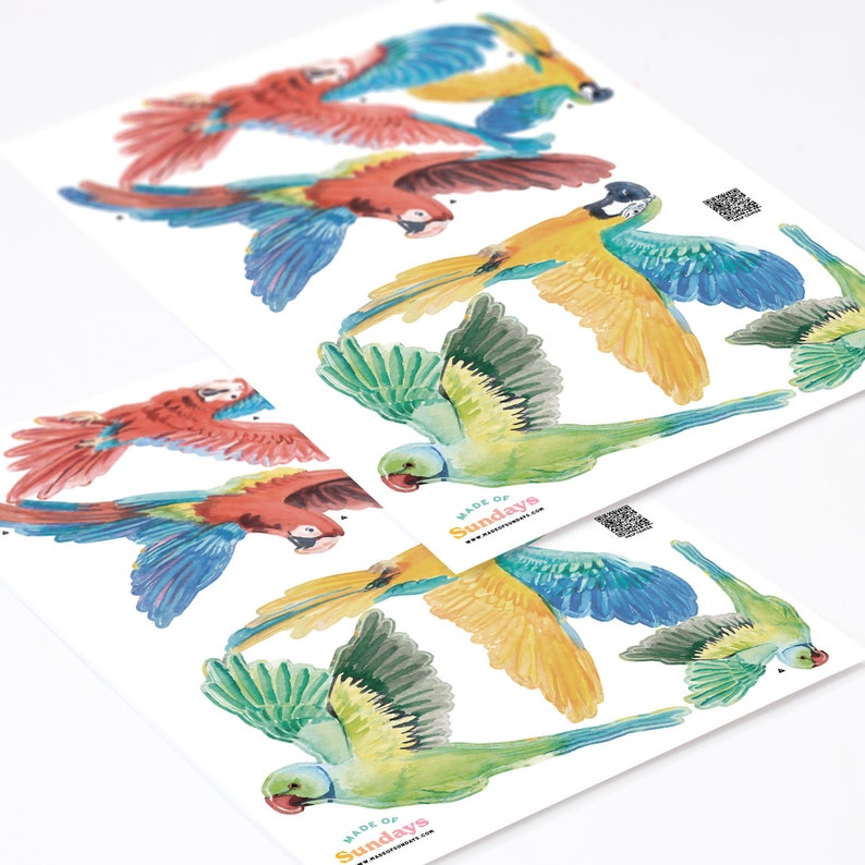 Tropical Parrots Wall Decals, Plastic-Free Jungle kids room wall stickers image 4