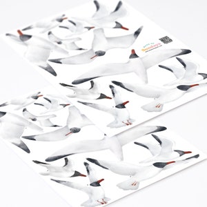 Seagull Wall Decals, Black-Headed Gulls, Plastic-Free Wall Stickers image 3