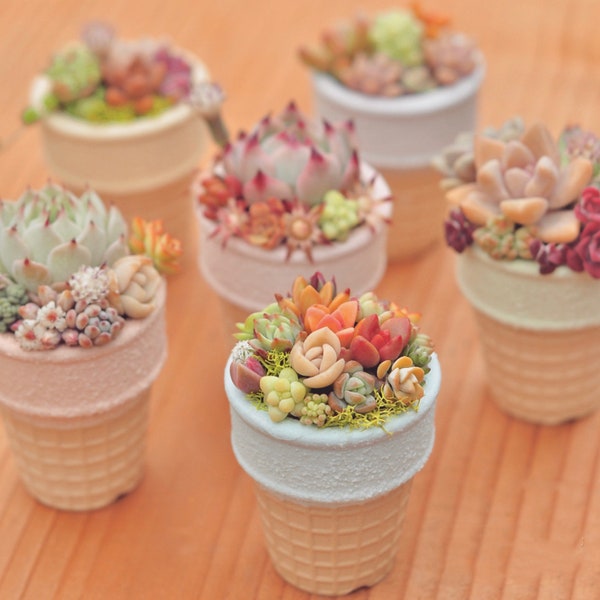 Set of 6- Handmade mini ice cream cone shape clay planter with drainage hole, great for succulents