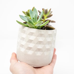 Cylinder Concrete Planter, Cement Planter, Handmade Succulent Planter with drainage hole, Plant pot