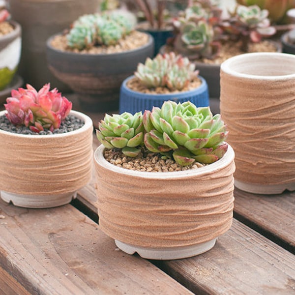 Ceramic Planter With Drainage Etsy