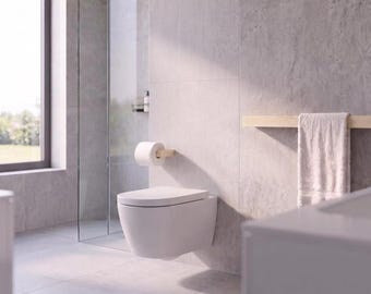 Modern  Bathroom Fixture Set: Toilet Paper & Towel Rack 34"
