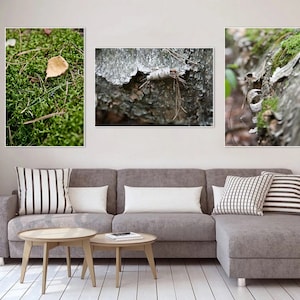 Autumn Forest wall art print Set of 3 Canvas fine art Home decor hall dining room Office Caffee macro nature 8x12 12x18 16x24 24x36 Big size image 1