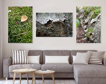 Autumn Forest wall art print Set of 3 Canvas fine art Home decor hall dining room Office Caffee macro nature 8x12 12x18 16x24 24x36 Big size