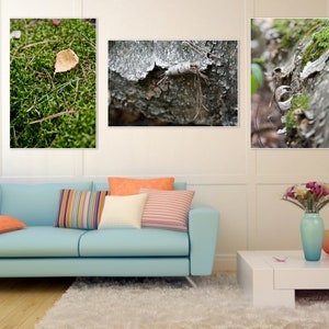 Autumn Forest wall art print Set of 3 Canvas fine art Home decor hall dining room Office Caffee macro nature 8x12 12x18 16x24 24x36 Big size image 6
