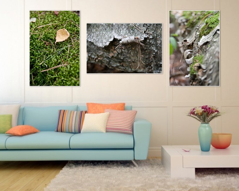 Autumn Forest wall art print Set of 3 Canvas fine art Home decor hall dining room Office Caffee macro nature 8x12 12x18 16x24 24x36 Big size image 6