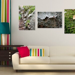 Autumn Forest wall art print Set of 3 Canvas fine art Home decor hall dining room Office Caffee macro nature 8x12 12x18 16x24 24x36 Big size image 7