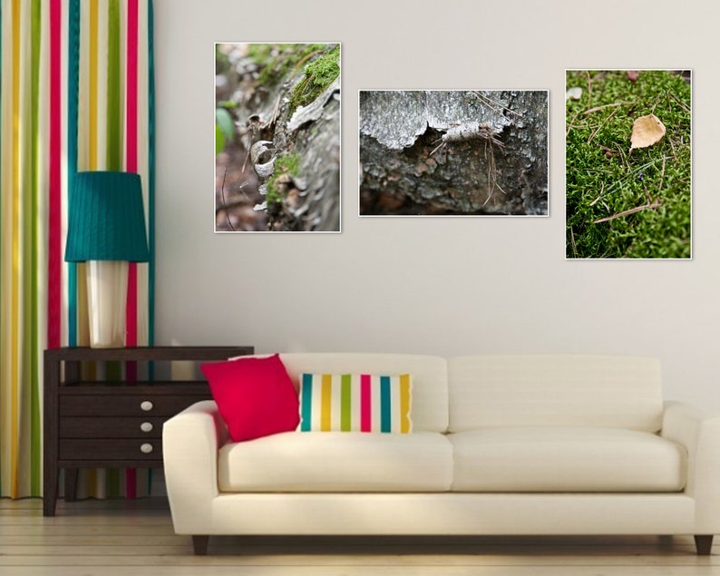 Autumn Forest wall art print Set of 3 Canvas fine art Home decor hall dining room Office Caffee macro nature 8x12 12x18 16x24 24x36 Big size image 7